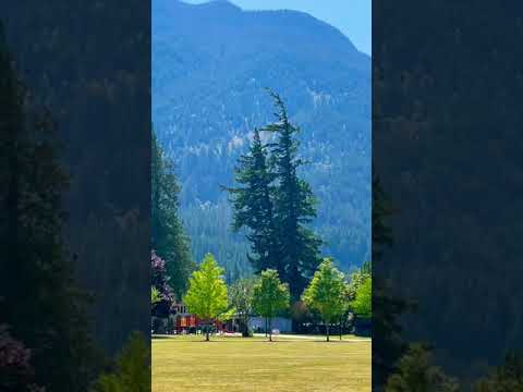 Video: Di Langit Di British Columbia, Rentetan Lampu Berkelip-kelip Kelihatan - Pandangan Alternatif