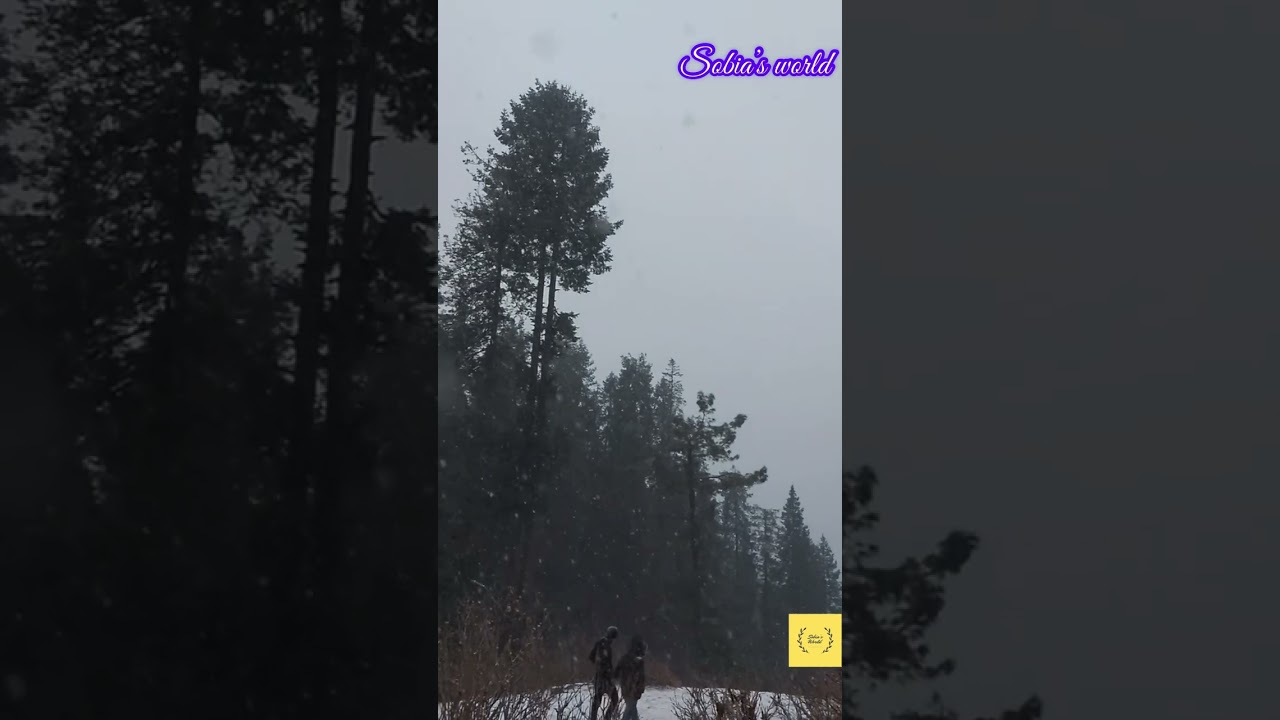 Snowfall in Murree 2023 | sobia’s world