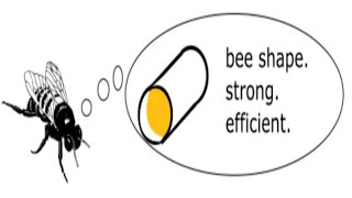 Bee Shape. Strong. Efficient. (Reaction Review)