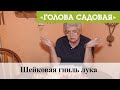 Голова садовая - Шейковая гниль лука