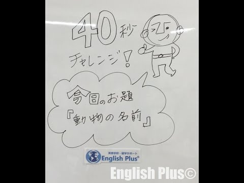 東京田町の英語学校english Plus 40秒英語学習チャレンジ No 1 動物の名前 Shorts Youtube