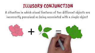 Illusory conjunction | MinsEducation |