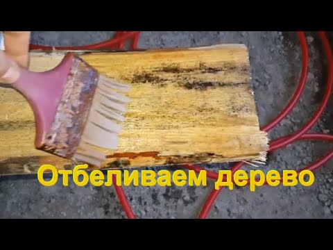 Гниёт и чернеет доска, грибок на дереве. Использую отбеливатель. Результат через 1м,15м и 24 часа