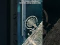 Palm Jumeirah – Dubai’s Man-Made Island from Space 🌴