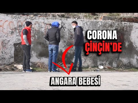 ÇİNÇİN'DE KEKOLARA CORONA ŞAKASI!   EFSANE KIŞKIRTMA! – Angara Bebesi