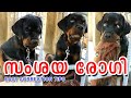 👿👿AGGRESSIVE ROTTWEILER : Food Guarding : Crate Guarding : Leash Resistance : പാവം ദേഷ്യക്കാരന്‍