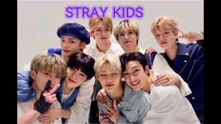 Random playlist Stray kids                          #straykids #stay