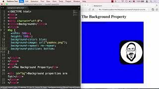 Lecture 20: The background Property