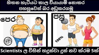 NO-EXERCISE NO-DIET LOOSE BELLY FAT FAST SINHALA | 5 Simple ways to lose belly Sinhala | Fitness Sin