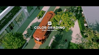 Capcut Color Grading | Cool and Earthy | Tutorial | For Free