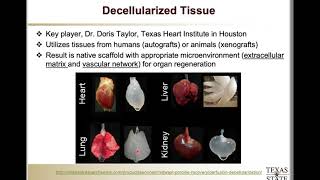 MSEC 7340, Tissue Eng., Slides 16 to 28, Decellularized Tissue & Natural Scaffolds
