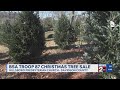 BSA Troop 87 Christmas tree sale in Nashville