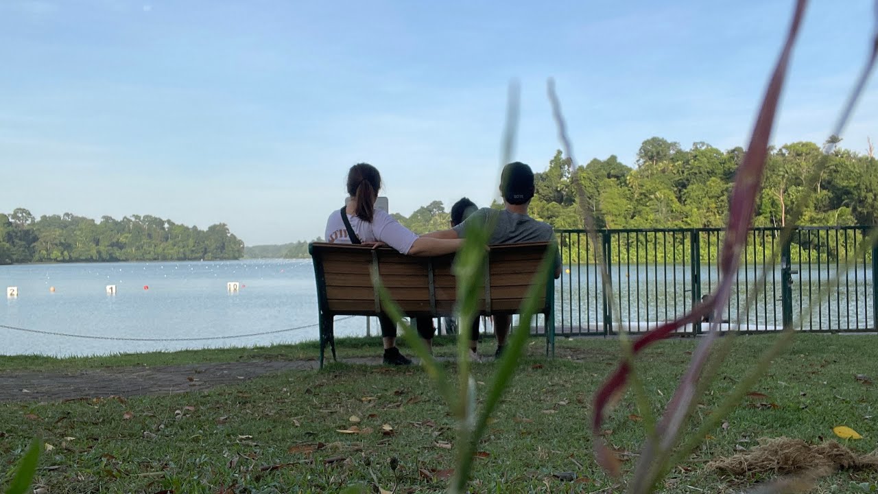 Singapore Vlog 2024 |Macritchie Reservoir|Bacha coffee|Clarke quay