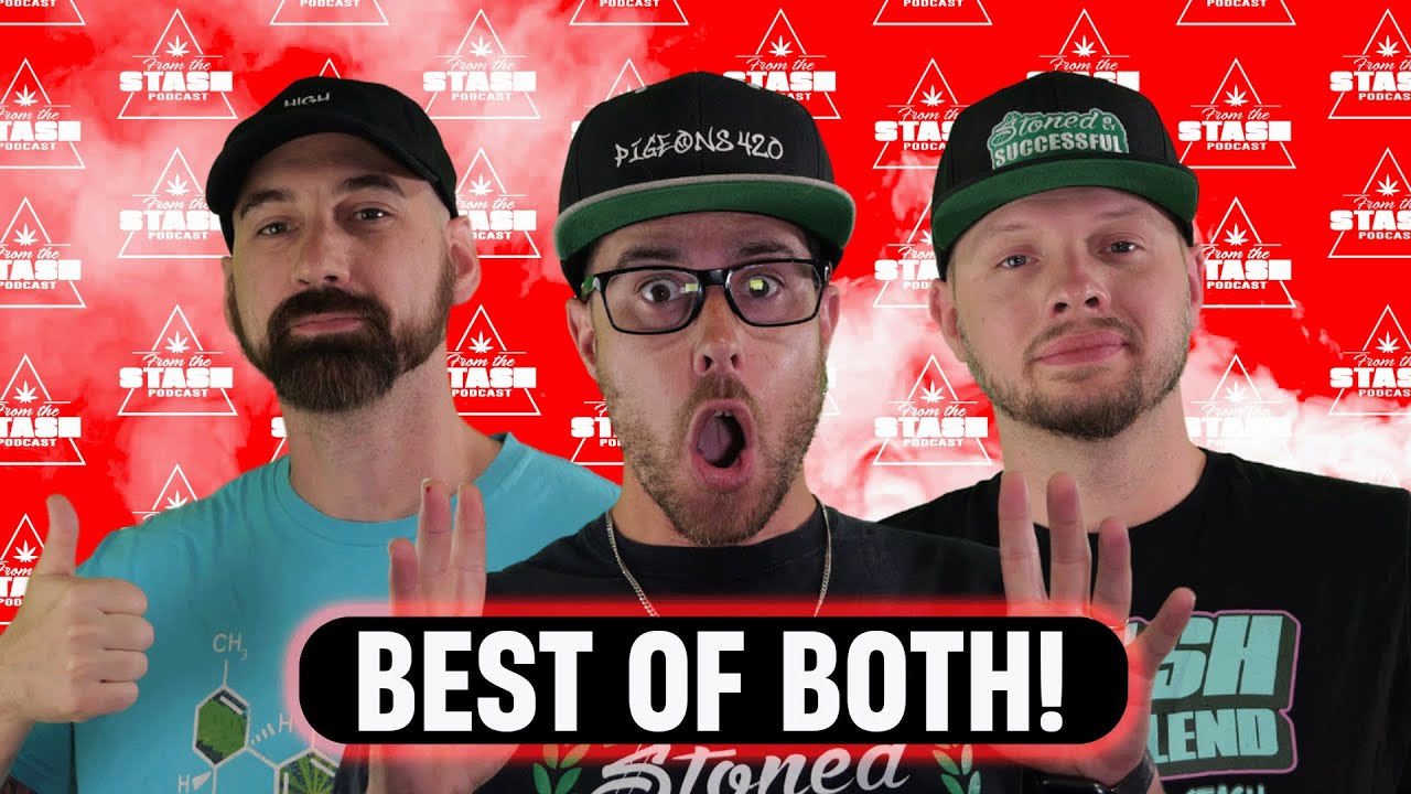 Освоение синтетического выращивания! — Из подкаста The Stash, выпуск 209