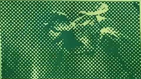 Screenprint Flower Blooming Animation