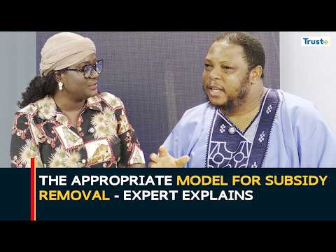 The Appropriate Model For Subsidy Removal - Expert Explains | Business Daily