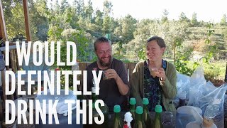 Pulling tomatoes and pulling teeth. Time to taste the wine