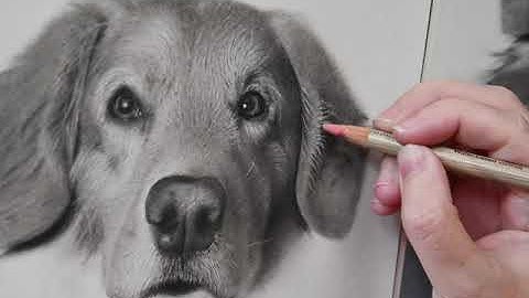 How to draw a hyper-realistic portrait of a dog in charcoal. Time-lapse video in 4K