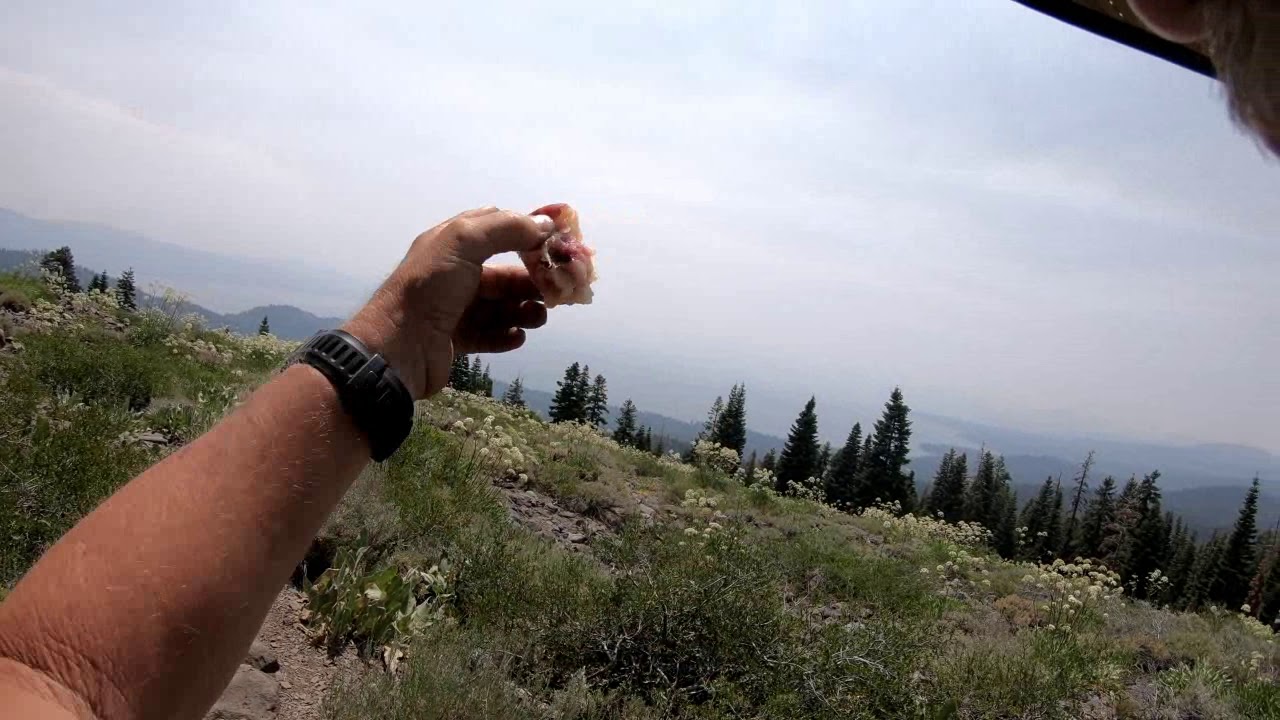 eastern university TRT 2018 Thru-Hike 12