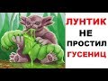 Лютые приколы. Лунтик НЕ простил гусениц!!!