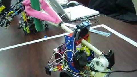 Autonomous Robotic Mobile Hand with Color Detection System