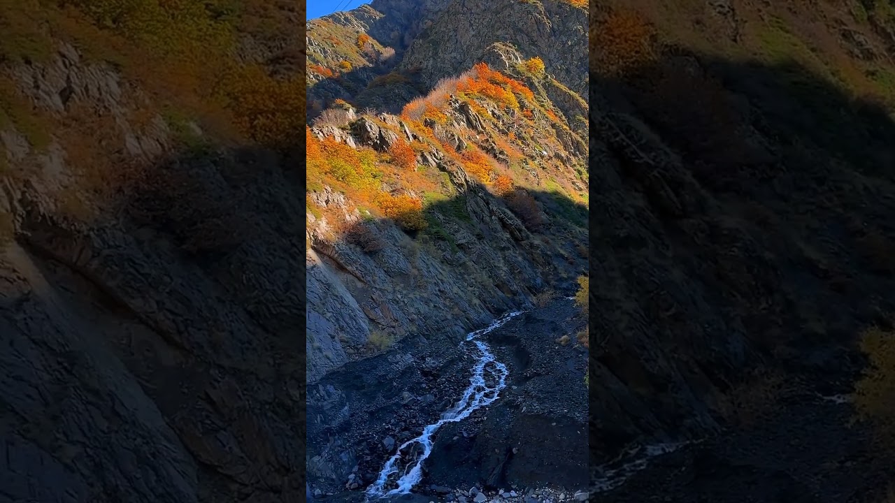 Золотая осень в горах Ахтынского района😍❤️ 