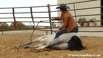 Aint Yo Average Boon - laying down cracking the bullwhip! - ValleyViewRanch.net