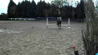 brevet Etrier d'or 054.AVI