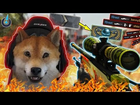 Собака стрим - поиграем csgo| Розыгрыш Steam игр - Собака стрим - поиграем csgo| Розыгрыш Steam игр