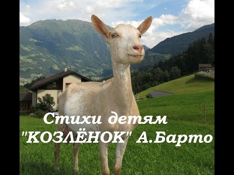 Детские стихи. 'Козленок' А Барто