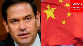 Marco Rubio Demands NDAA Contain Amendment Against Uyghur Slave Labor In China