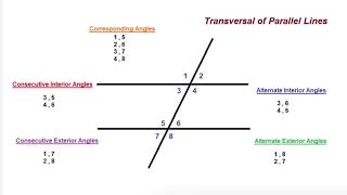 Transversal Line - (Angles: Corresponding, Alternate, Consecutive, Interior, Exterior)