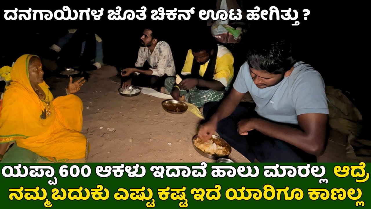 ಯಪ್ಪಾ 600 ಆಕಳು ಇದಾವೆ ಹಾಲು ಮಾರಲ್ಲ|ದನ ಕಟ್ಟಿಕೊಂಡು ಜೀವನ ಹೇಗೆ ಮಾಡ್ತಾ ಇದಾರೆ ನೋಡಿ|KRUSHI SANCHARI