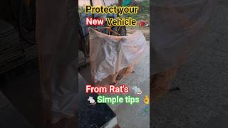 புது Bike la எலி🐀 சம்பவம் பண்ணிடுச்சி|Simple tips | R2dinfo #viralshorts