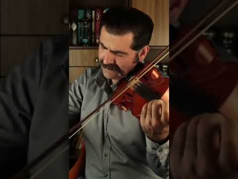 منصوری چهارگاه