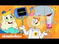 SpongeBob SquarePants | Hup, meiden! | Nickelodeon Nederlands