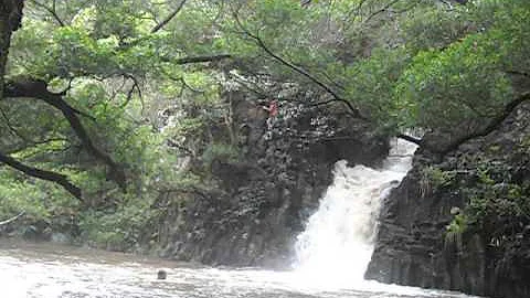 Harold in Hawaii cliff jumping
