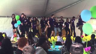 Spring BBQ 2015 Flash Mob