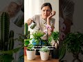 The Biggest Beginner Plant Mistake  #IndoorPlants #PlantTips #PlantBeginners #PlantShorts