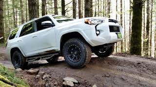 Tillamook State Forest - Browns Camp - Oregon - Four Wheeling [2021 Edition]