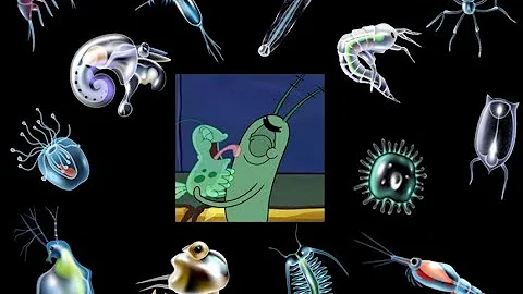 ¿Qué es plancton y ejemplos?