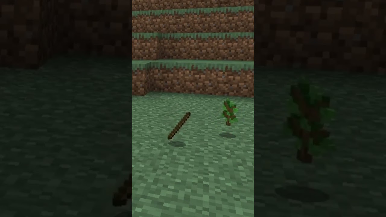 Dancing Sapling and Stick |