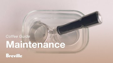 The Oracle® | How to easily clean the portafilter and filter basket | Breville USA