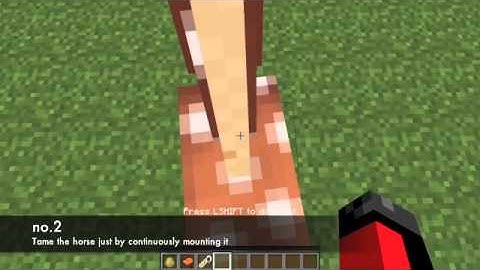 minecraft how to use a name tag...