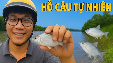 Câu cá hồ tự nhiên (Đức Hoà long an)