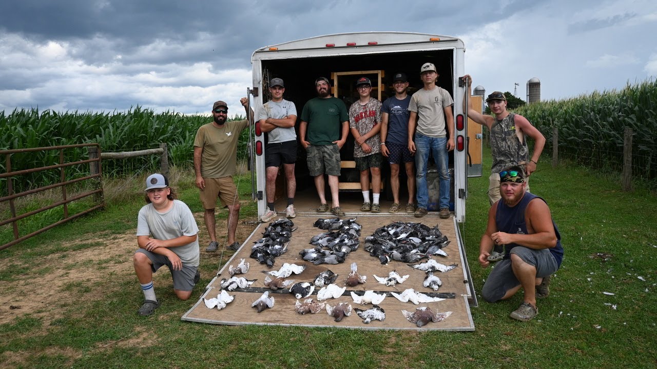 PA PIGEON HUNT 130 BIRD DAY! (GATOR BLOWS UP)
