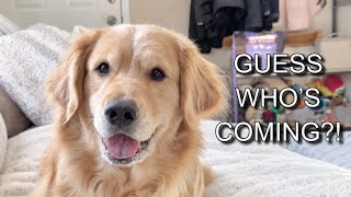 Comet Couldn’t Hide Her Excitement
