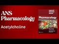 Acetylcholine | Lippincott ch 4 part 3