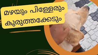 മഴയത്തു കുരുത്തക്കേട് കാണിക്കാൻ നല്ല രസമാ അമ്മേ അച്ഛാ 🤣❤️