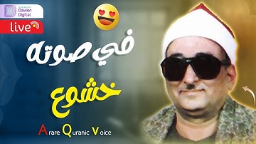 ارح سمعك.. تلاوة هادئة تريح القلب والعقل💙🎧  سورة لقمان القارئ محمد حصان من أروع ما قرأ